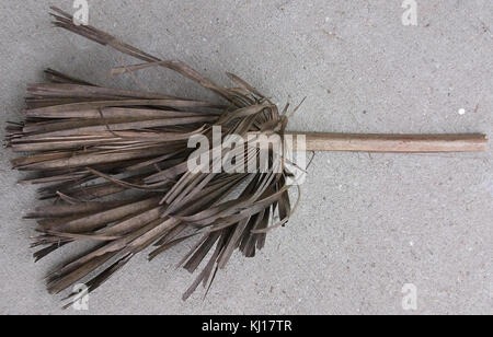 Feuilles de palmiers morts Banque D'Images