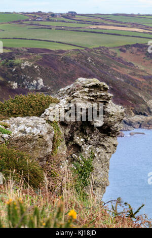 Micaschistes du Dévonien inférieur dans l'affleurement rocheux des falaises déchiquetées de Tor, au-dessus de Salcombe, UK. Orient Prawle en arrière-plan. Banque D'Images