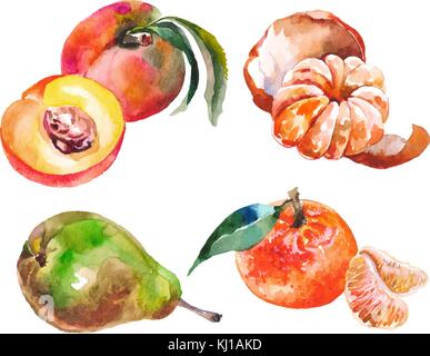 Aquarelle vruits isolated on white Illustration de Vecteur