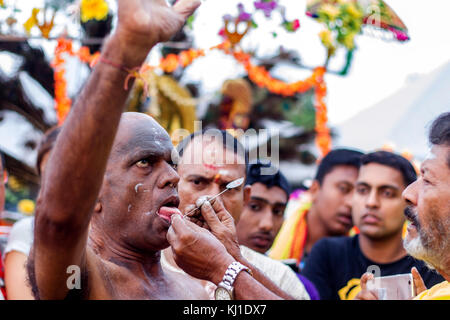 Pendant Thaipusam festival en Malaisie, les dévots hindous préparation cérémonie de bénédiction de la prière en langue piercing pour s'acquitter de leurs vœux et offrir grâce à Banque D'Images