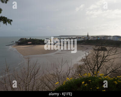 Belle à marée basse de Tenby, Pays de Galles Pembrokeshire Coast National Park UK Banque D'Images