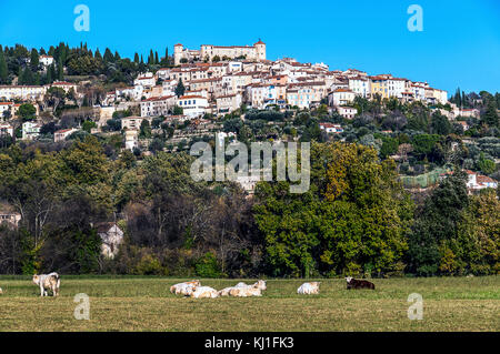 L'Europe. La France. Var (83), Pays de Fayence. Le village perché de Callian Banque D'Images