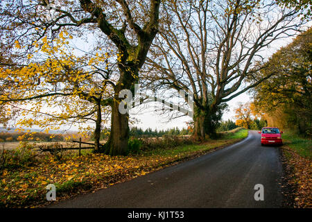 Automne route voyage dans un camping-car volkswagen t4 Banque D'Images