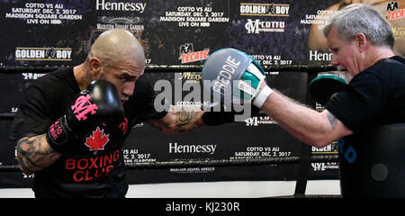 Lors de sa dernière séance d'entraînement SoCal Media Day, Miguel Cotto s'entraîne avec son entraîneur Freddie Roach au gymnase Wild Card lundi. 20 novembre 2017. Miguel Cotto affrontera Sadam Ali le 2 décembre au Madison Square Garden Arena et sera retransmis en direct sur HBO sous le titre Credit : Gene Blevins/ZUMA Wire/Alamy Live News Banque D'Images