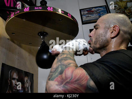 CA. 20 novembre 2017. Lors de sa dernière séance d'entraînement SoCal Media Day Miguel Cotto, quatre divisions, six fois champion du monde, et actuel WBO Jr. Le champion du monde poids moyen s'entraîne au gymnase Wild Card lundi. Miguel Cotto affrontera Sadam Ali le 2 décembre au Madison Square Garden Arena et sera retransmis en direct sur HBO alors que Miguel Cotto se retirera de la boxe. (Photo de Gene Blevins/LA DailyNews/SCNG/ZUMAPRESS. Crédit : Gene Blevins/ZUMA Wire/Alamy Live News Banque D'Images