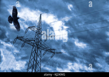 Poteau électrique avec Raven et ciel dramatique. Pylône haute tension avec tour noire avant la tempête. Banque D'Images