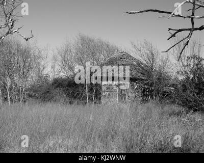 Cette image montre une ferme abandonnée à Palacios, Texas. La propriété, autrefois centre de l'activité agricole, est maintenant vacante. La scène reflète le déclin rural dans certaines parties du Texas, soulignant l'impact des changements économiques sur les communautés agricoles. Banque D'Images