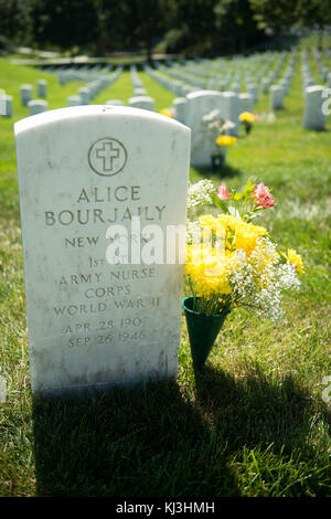 L'Association nationale des professions du paysage bénévole dans le Cimetière National d'Arlington (27631541823) Banque D'Images