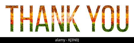 Merci written word avec des feuilles isolées, l'arrière-plan blanc pour l'impression de bannières, creative illustration de feuilles colorées. Banque D'Images