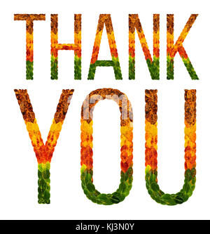 Merci written word avec des feuilles isolées, l'arrière-plan blanc pour l'impression de bannières, creative illustration de feuilles colorées. Banque D'Images