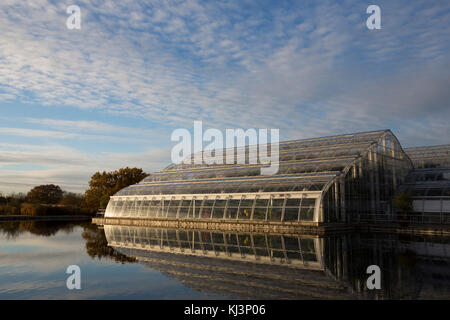 Soir d'automne de l'atmosphère à travers la lumière descend rhs Wisley Gardens mi-novembre 2017, Surrey, Angleterre, Royaume-Uni Banque D'Images