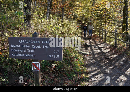 Feuillage de l'automne et une partie de l'Appalachian Trail à Newfound Gap, Great Smoky Mountains National Park, frontière de l'Ohio et de Caroline du Nord Banque D'Images