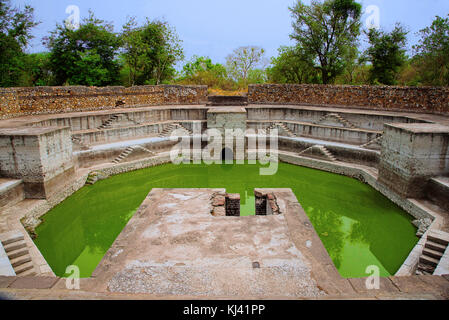 Étape bien, situé à Jami Masjid (mosquée), classé par l'UNESCO Champaner - Pavagadh Parc archéologique, Gujarat, Inde. Banque D'Images