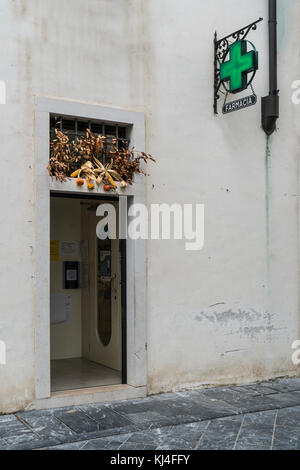 Décorations florales sur les maisons dans le centre de Venzone, Friuli, Italie Banque D'Images