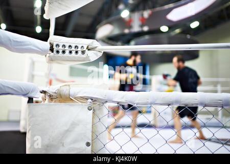 Pompiers d'arts martiaux mixtes dans la formation Banque D'Images