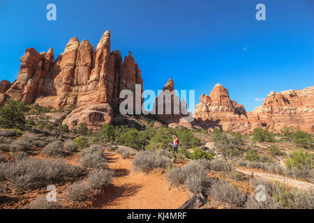 Red Rocks sur Chesler Park Trail, district d'aiguilles Banque D'Images