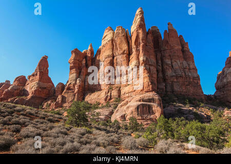 Red Rocks sur Chesler Park Trail, district d'aiguilles Banque D'Images