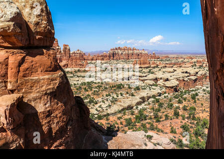 Vue sur le paysage dans les Needles District, Canyonlands Banque D'Images