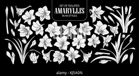 Ensemble de silhouette blanche isolée ou AMARYLLIS Hippeastrum dans 44 styles. cute hand drawn vector illustration fleurs en avion blanc et sans contour sur bl Illustration de Vecteur