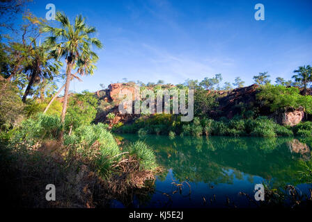 Gorge principale, Boodjamulla (Lawn Hill) National Park, dans le Queensland, Australie Banque D'Images