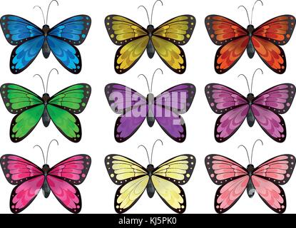Illustration des papillons dans différentes couleurs sur un fond blanc Illustration de Vecteur