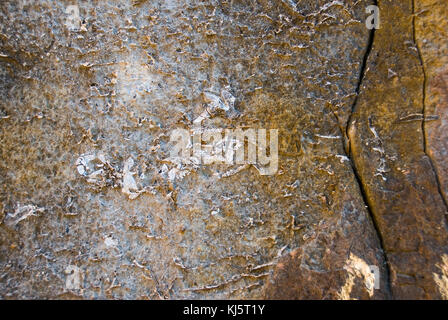 Riversleigh Fossil Fields, Boodjamulla Parc National, l'ouest du Queensland Banque D'Images