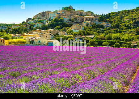 Simiane la Rotonde village et lavande. Provence, France, Europe Banque D'Images