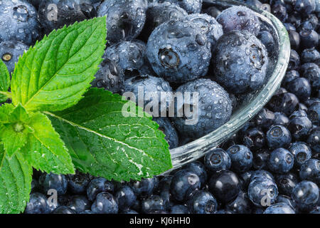 Petits et gros bleuets. beau détail de rosée, les myrtilles dans un bol en verre avec des feuilles de menthe verte. Banque D'Images