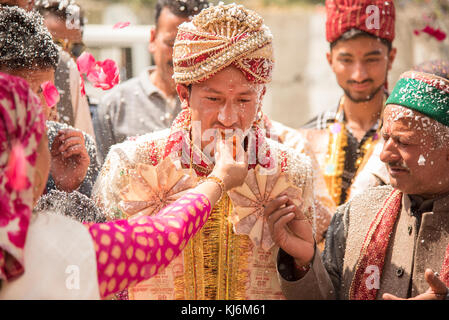 Shimla, INDE - 19 avril 2017 : l'alimentation de la famille de la Mariée Le Marié à doux comme ses proches, amis, famille et regardez sur pendant un mariage traditionnel en Inde Banque D'Images