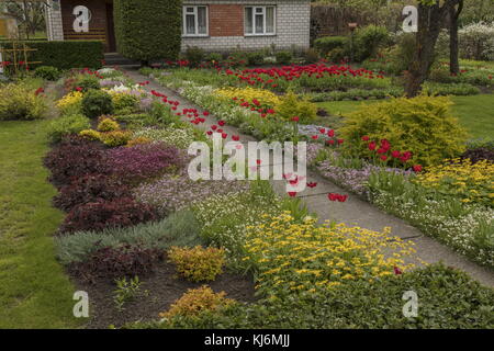 Jardin privé avec bordures fleuries au printemps, Kuressaare, Estonie. Banque D'Images