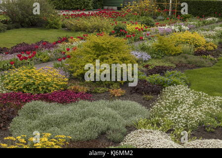 Jardin privé avec bordures fleuries au printemps, Kuressaare, Estonie. Banque D'Images