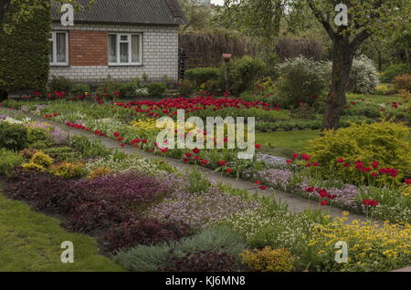 Jardin privé avec bordures fleuries au printemps, Kuressaare, Estonie. Banque D'Images