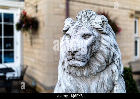 Portrait d'une noble et regal lion statue en pierre dans une majestueuse maison jardin en Angleterre, Royaume-Uni Banque D'Images