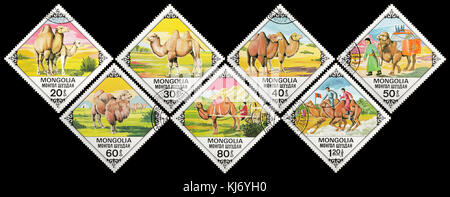 Mongolie - circa 1978 : une émission de timbres-poste imprimés dans l'image montre de Mongolie les chameaux de Bactriane, vers la série 1978. Banque D'Images