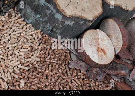 Différents types de bois et ils sont constituées par du Banque D'Images