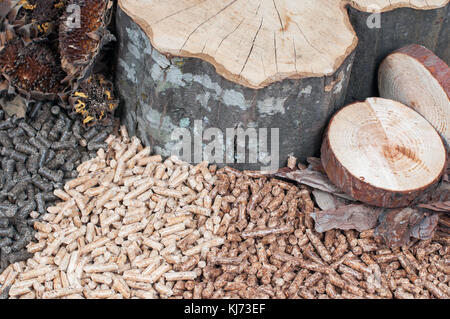 3 différents types de bois et matériaux qu'ils ont pris de Banque D'Images