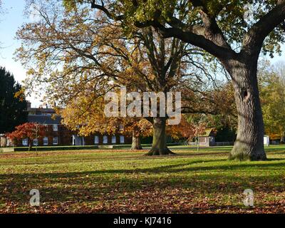 Marble Hill Park à Twickenham, London Banque D'Images