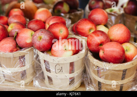 Pommes rouges mûres fraîchement cueillies dans des paniers du marché agricole Banque D'Images