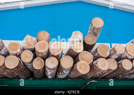 Pile de grumes sciages de pin frais est couchée sur rack vert bleu sur fond d'un bâtiment industriel en hiver. Banque D'Images