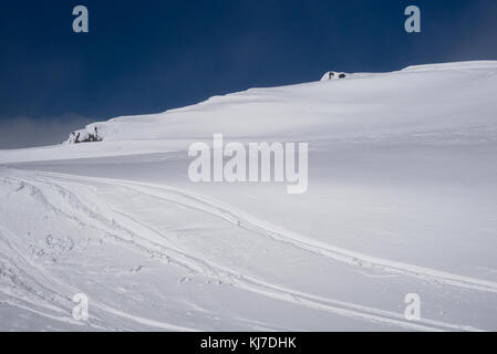 Les pistes de ski sur la montagne couverte de neige,whistler,British Columbia, canada Banque D'Images