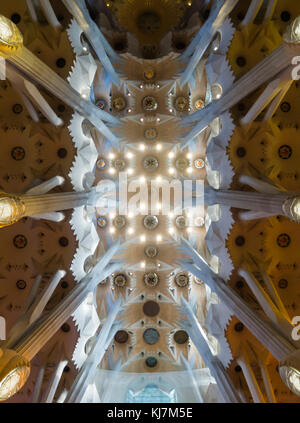 Barcelone, Espagne - 11 Nov 2016 : plafond spectaculaire à l'intérieur de la Sagrada Familia, la cathédrale de Barcelone. Banque D'Images