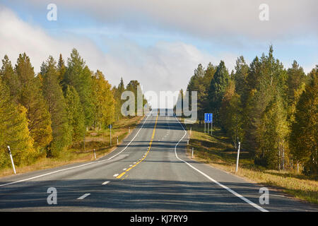 La Finlande à vide, entouré par une forêt de bouleau paysage finlandais. Banque D'Images