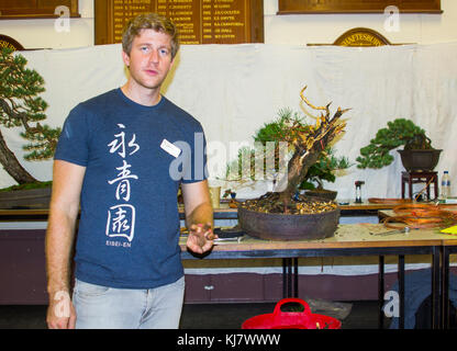 Bjorholm Bjorholm au début de la création d'un bonsai de PIN écossais (Pinus Sylvestris) lors d'une manifestation publique à Belfast, en Irlande du Nord Banque D'Images