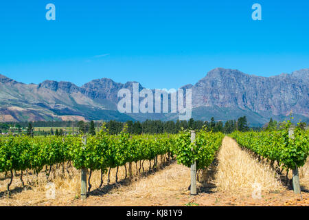 Voyagez à travers les belles montagnes et de Western Cape Winelands, afrique du sud Banque D'Images