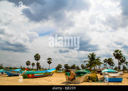 Les bateaux de pêche et de palmiers sur la plage de Trincomalee, Sri Lanka Banque D'Images