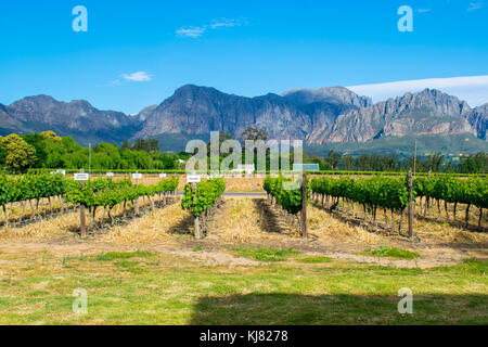 Voyagez à travers les belles montagnes et de Western Cape Winelands, afrique du sud Banque D'Images