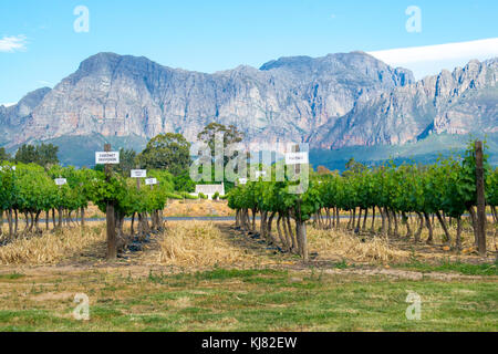 Voyagez à travers les belles montagnes et de Western Cape Winelands, afrique du sud Banque D'Images