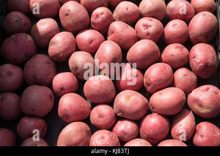 Redskin les pommes de terre sur l'affichage à un marché agricole de weslaco, Texas. Banque D'Images