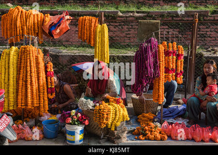 Marigold vendeurs, Durbar Square, Katmandou, Népal Banque D'Images