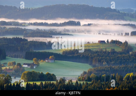 Paysage vallonné avec brouillard matin, vue de l'Auerberg près de Bernbeuren, Pfaffenwinkel, Allgäu, Haute-Bavière, Bavière Banque D'Images